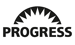 progress-2